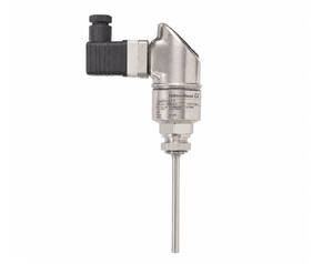 Industrial temperature sensor with a stainless steel probe and compact transmitter head (Endress+Hauser).