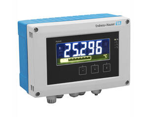 Endress+Hauser temperature transmitter with blue housing, digital display reading 25.296 °C.